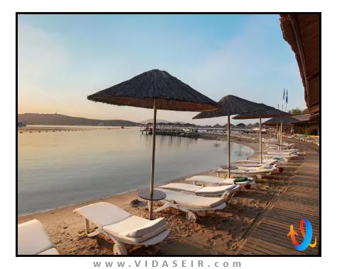 سلکتوم کالرز بدروم