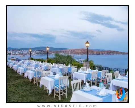 سلکتوم کالرز بدروم