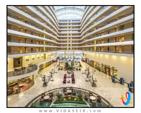 سون سیز سی لایت الیت کوش آداسی