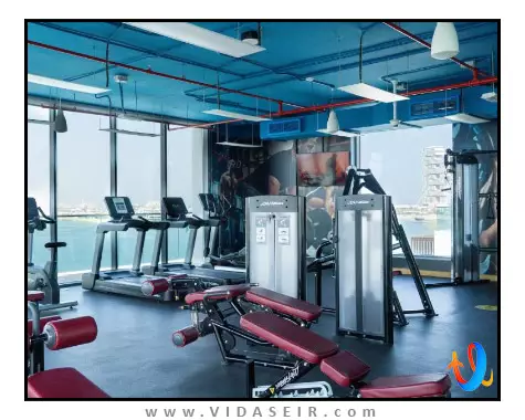 سی سنترال ریزورت پالم دبی