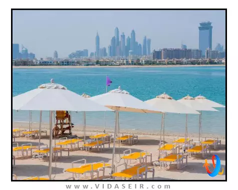 سی سنترال ریزورت پالم دبی