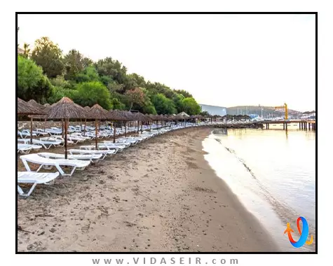 فور اور کلاب بدروم