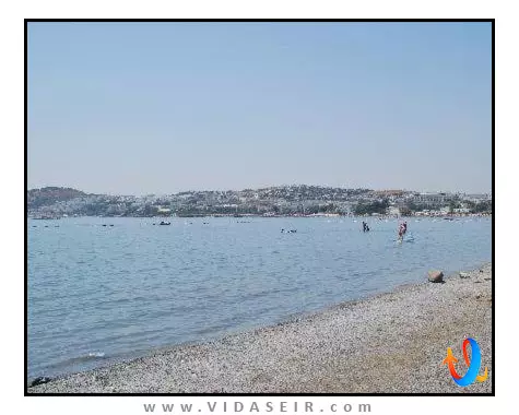 فونیکس سان بدروم