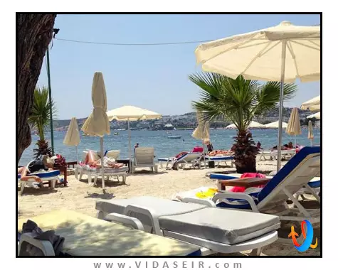 فونیکس سان بدروم