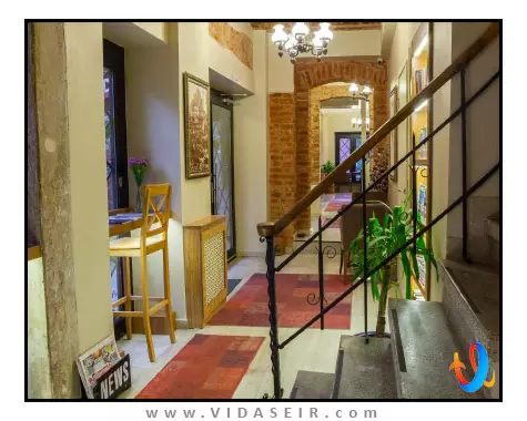 فیده استانبول