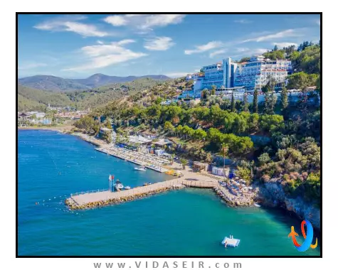 لابراندا افسوس پرینسس کوش آداسی