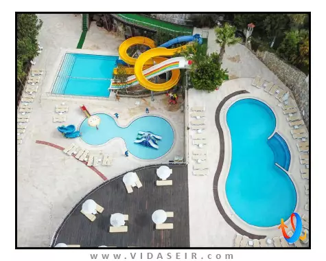 لادونیا آداکوله کوش آداسی