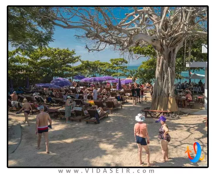 لانگ بیچ گاردن پاتایا