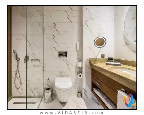 لیونل استانبول