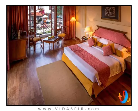 ماهاولی ریچ کندی