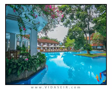 ماهاولی ریچ کندی