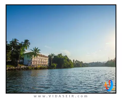 ماهاولی ریچ کندی