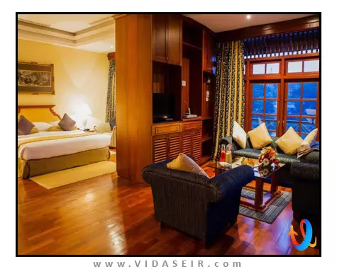 ماهاولی ریچ کندی