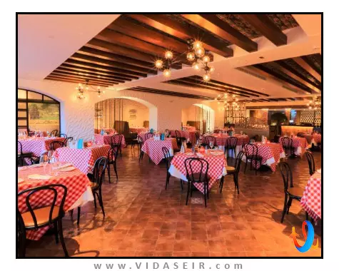 متروپولیتان دبی