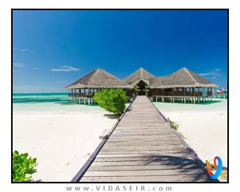 مدهوفوشی آیلند ریزورت مالدیو