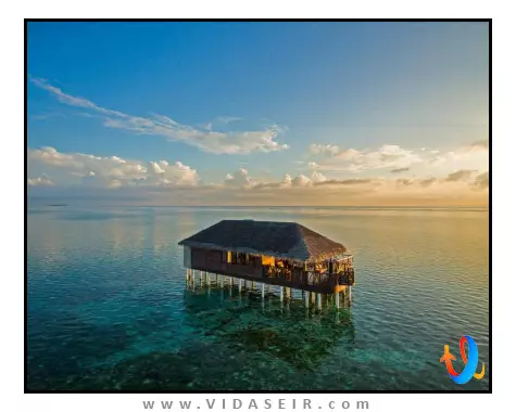 مدهوفوشی آیلند ریزورت مالدیو