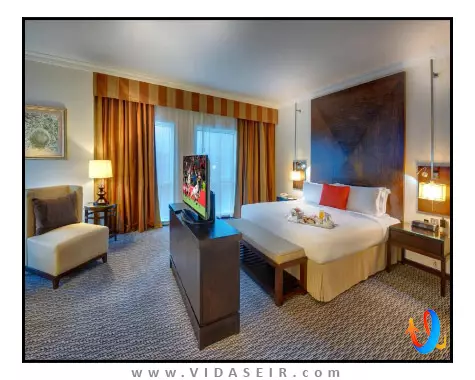 مدیا روتانا دبی