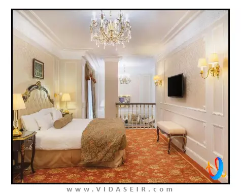 موزه رسمی آرمیتاژ استیت سنت پترزبورگ