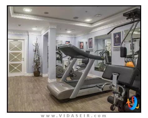 موزه رسمی آرمیتاژ استیت سنت پترزبورگ