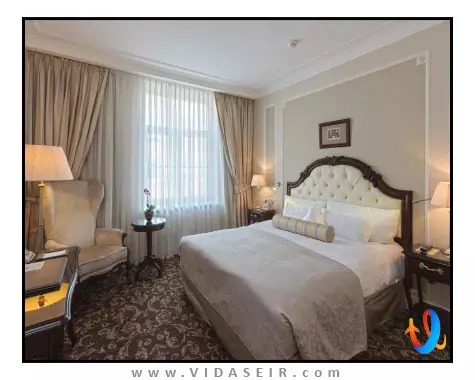 موزه رسمی آرمیتاژ استیت سنت پترزبورگ