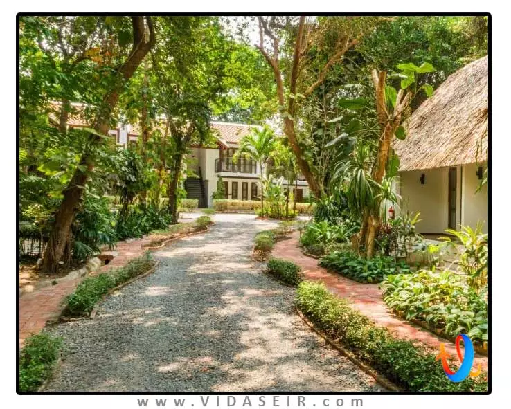 مونترا پاتایا