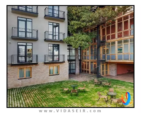 مگنولیا تفلیس