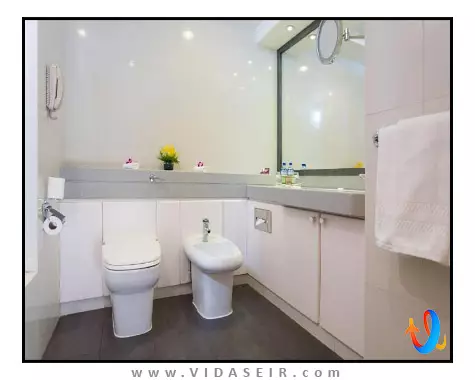 میلینیوم پلازا داون تاون دبی