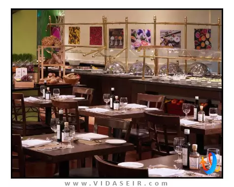 میلینیوم پلازا داون تاون دبی