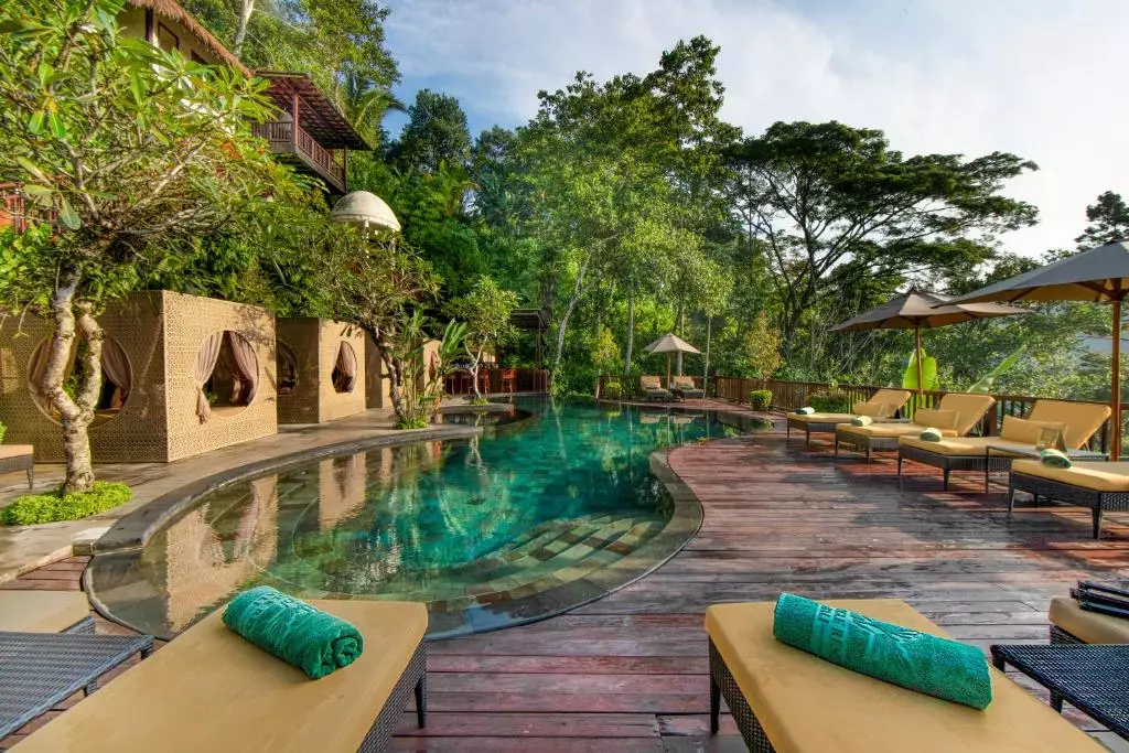 ناندینی جنگل بای هانگینگ گاردنس اوبود