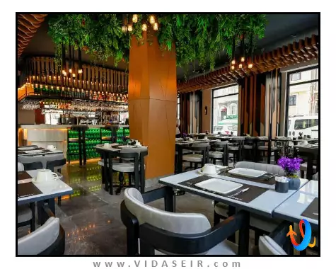 نست استانبول