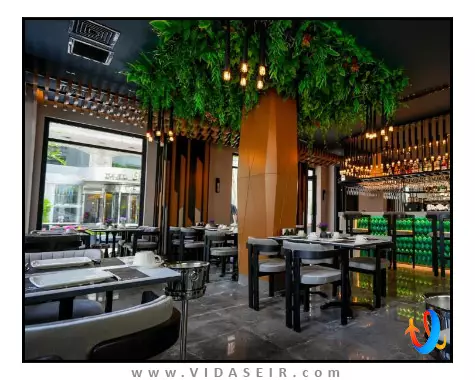 نست استانبول