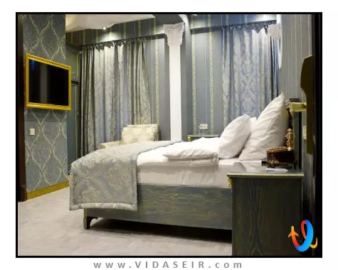 نیپول تفلیس