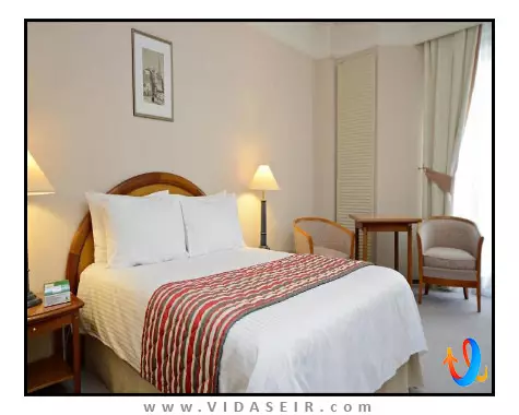 هالیدی این مسکو سلیگرسکایا