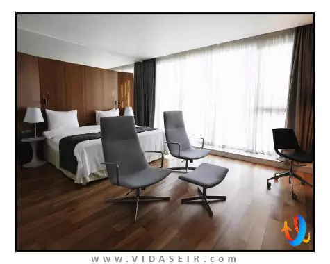 هالیدی این تفلیس