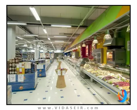 هالیدی این سنت پترزبورگ موسکووسکی ووروتا