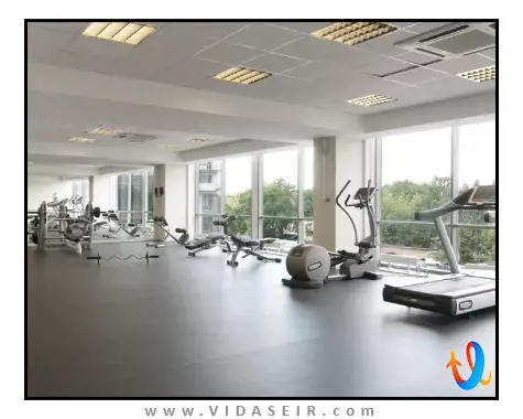 هالیدی این سنت پترزبورگ موسکووسکی ووروتا