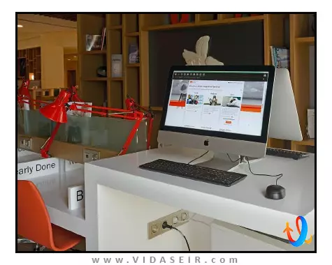 هالیدی این مسکو سلیگرسکایا