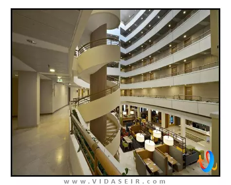 هالیدی این مسکو سلیگرسکایا