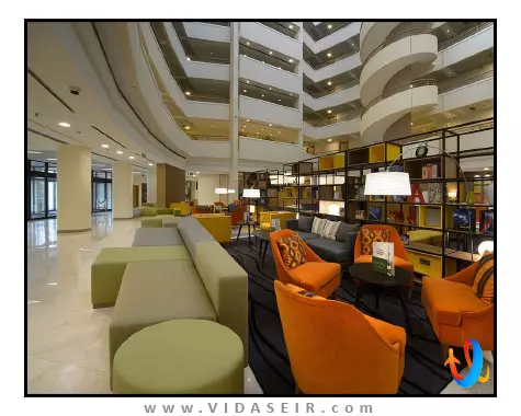 هالیدی این مسکو سلیگرسکایا