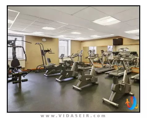 هالیدی این مسکو سوشفسکی