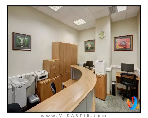 هالیدی این مسکو سوشفسکی