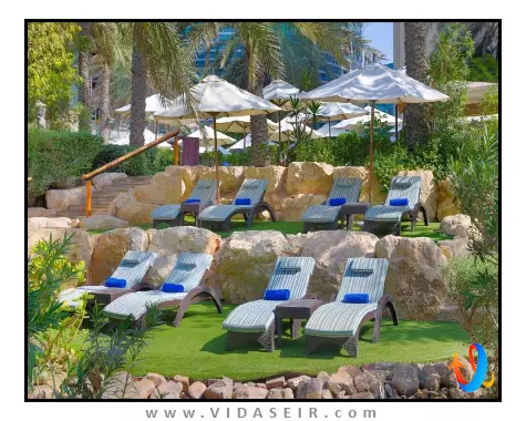 هیلتون جمیرا دبی