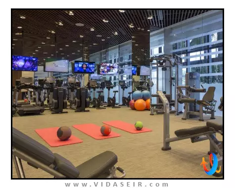 وان فارر سنگاپور