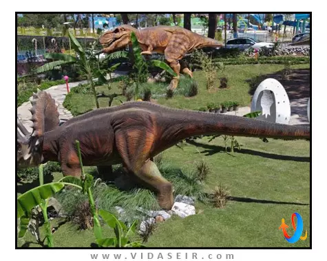 وگ سوپریم بدروم