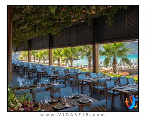 وگ سوپریم بدروم