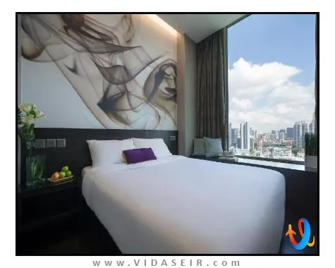 وی لاوندر سنگاپور