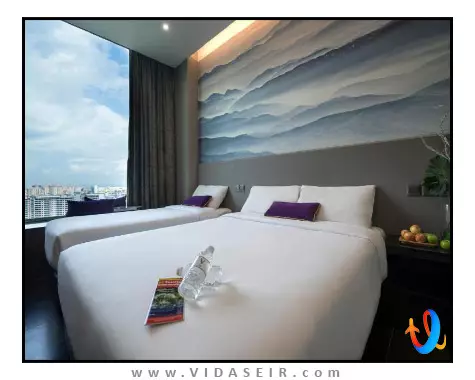 وی لاوندر سنگاپور