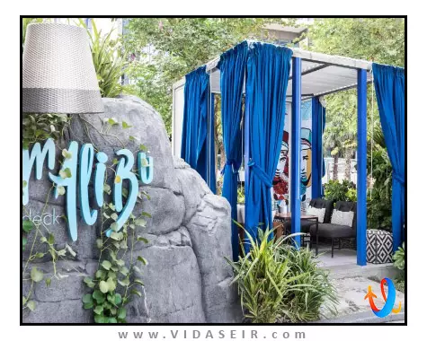 پارامونت دبی