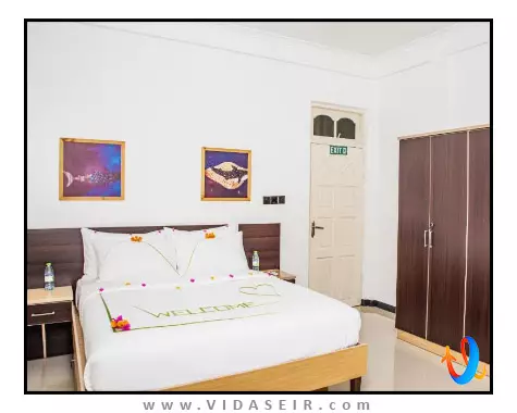 پالم رست مالدیو