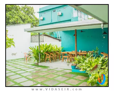 پالم رست مالدیو